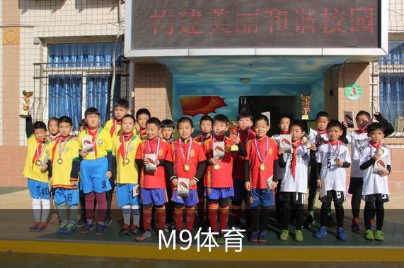 了解M9体育
